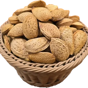 بادام درختی باپوست درشت