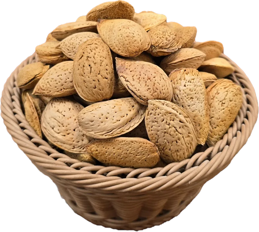 بادام درختی باپوست درشت