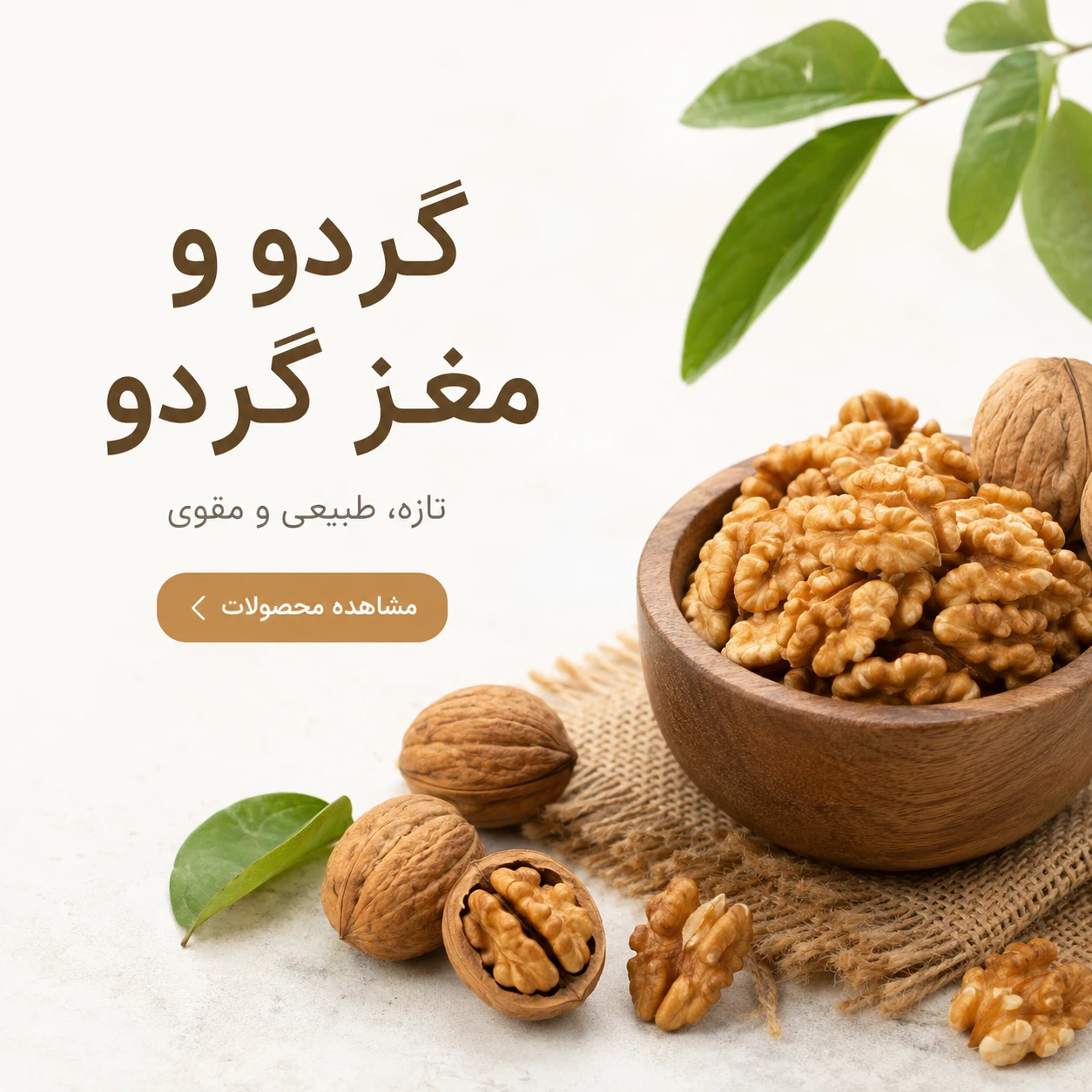 گردو ها